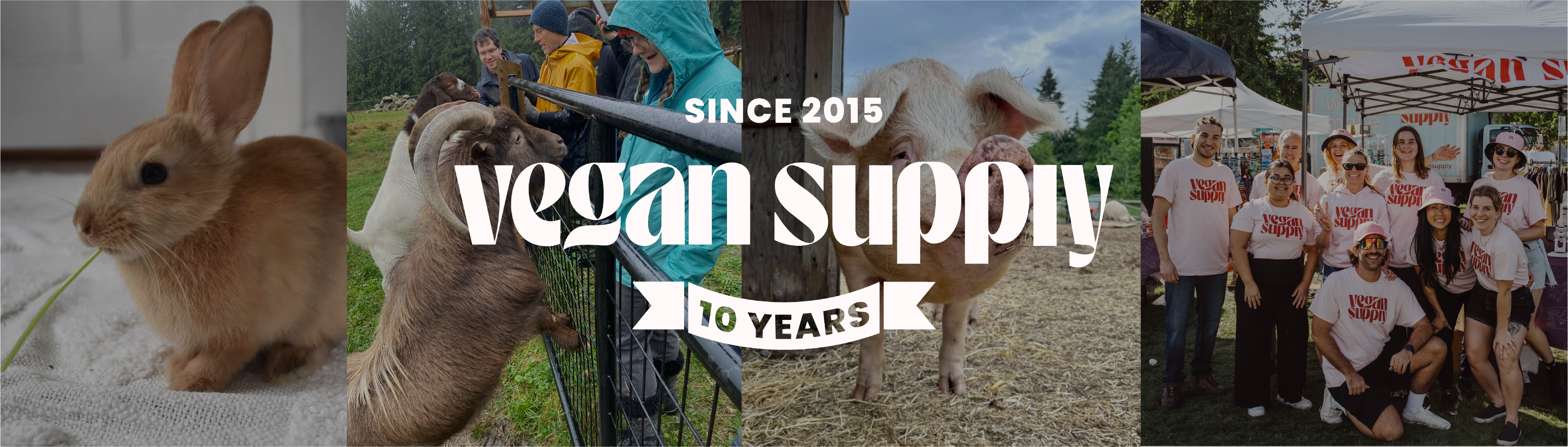 Vegan Supply