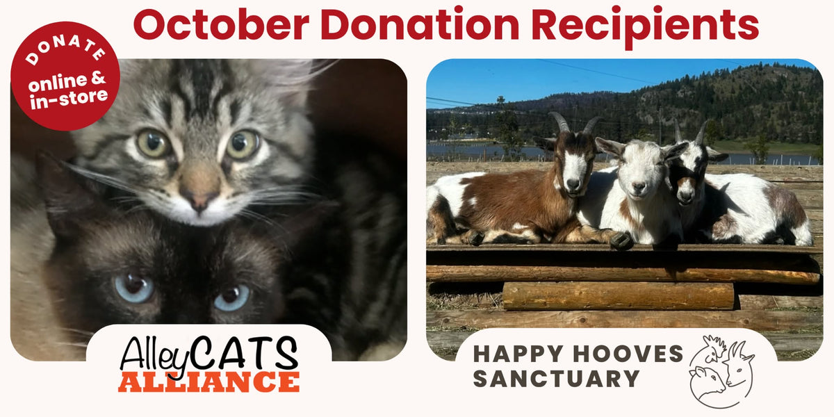 October 2026 Donation Recipients - AlleyCATS Alliance & Happy Hooves Sanctuary