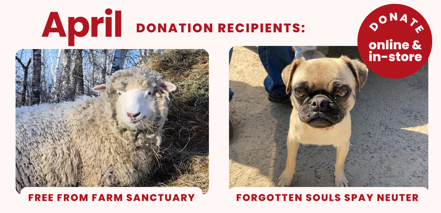 April 2025 Donation Recipients - Free From Farm Sanctuary & Forgotten Souls Spay Neuter