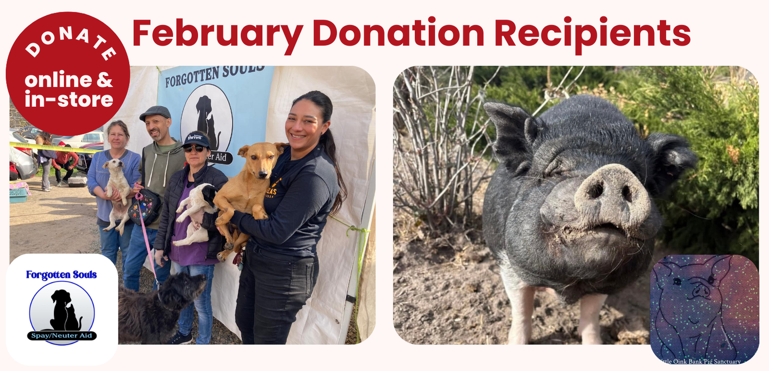 February 2026 Donation Recipients - Forgotten Souls & Little Oink Bank