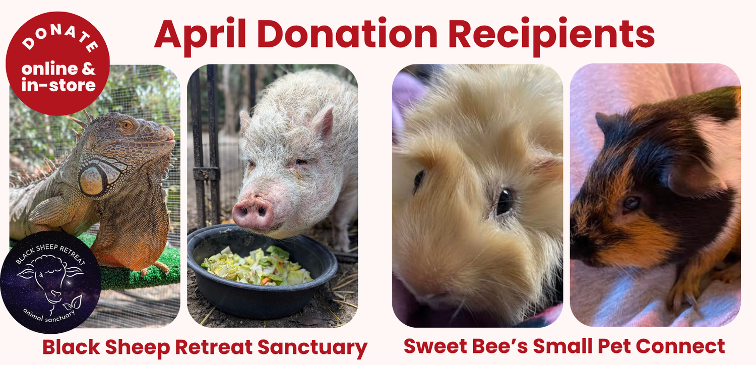 April 2026 Donation Recipients - Sweet Bee's Small Pet Connect & Black Sheep Retreat Sanctuary