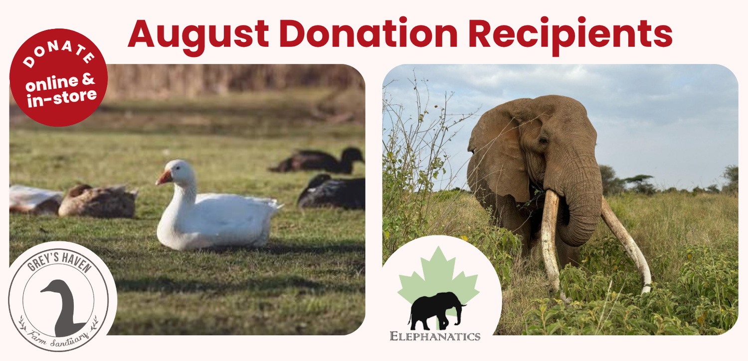 August 2026 Donation Recipients - Elephanatics & Grey's Haven Farm Sanctuary