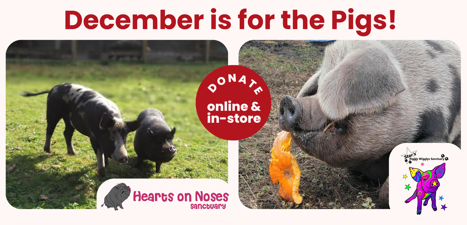 December 2025 Donation Recipients - Hearts On Noses & Stars Piggly Wigglys Sanctuary
