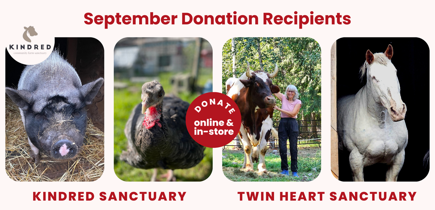 September 2025 Donation Recipients - Twin Hearts Animal Sanctuary & Kindred COmmunity Farm Sanctuary