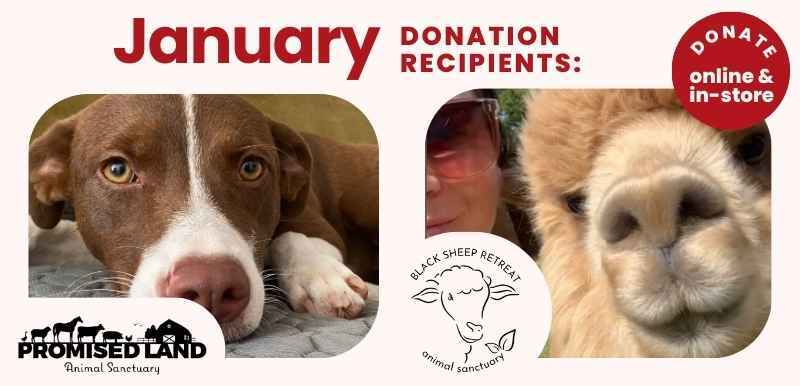 January 2025 Donation Recipients - Promised Land Animal Sanctuary & Black Sheep Retreat