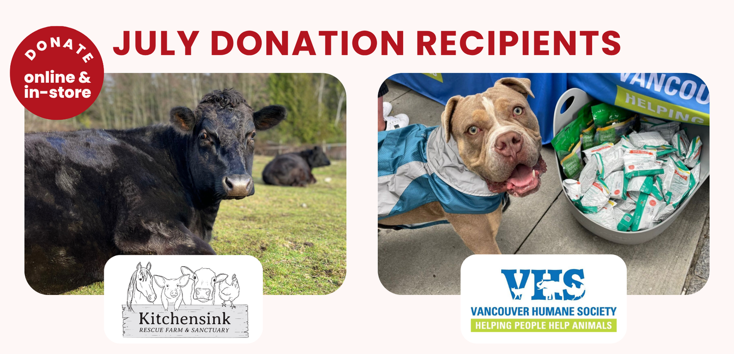 July 2025 Donation Recipients - Because They Matter (VHS) & Kitchen Sink Rescue Farm & Sanctuary