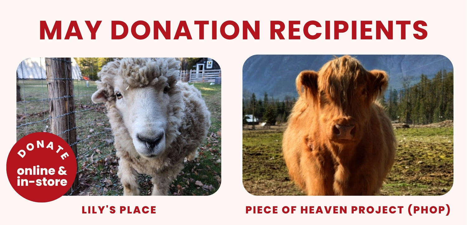 May 2025 Donation Recipients - Lily's Place &  Piece of Heaven Project