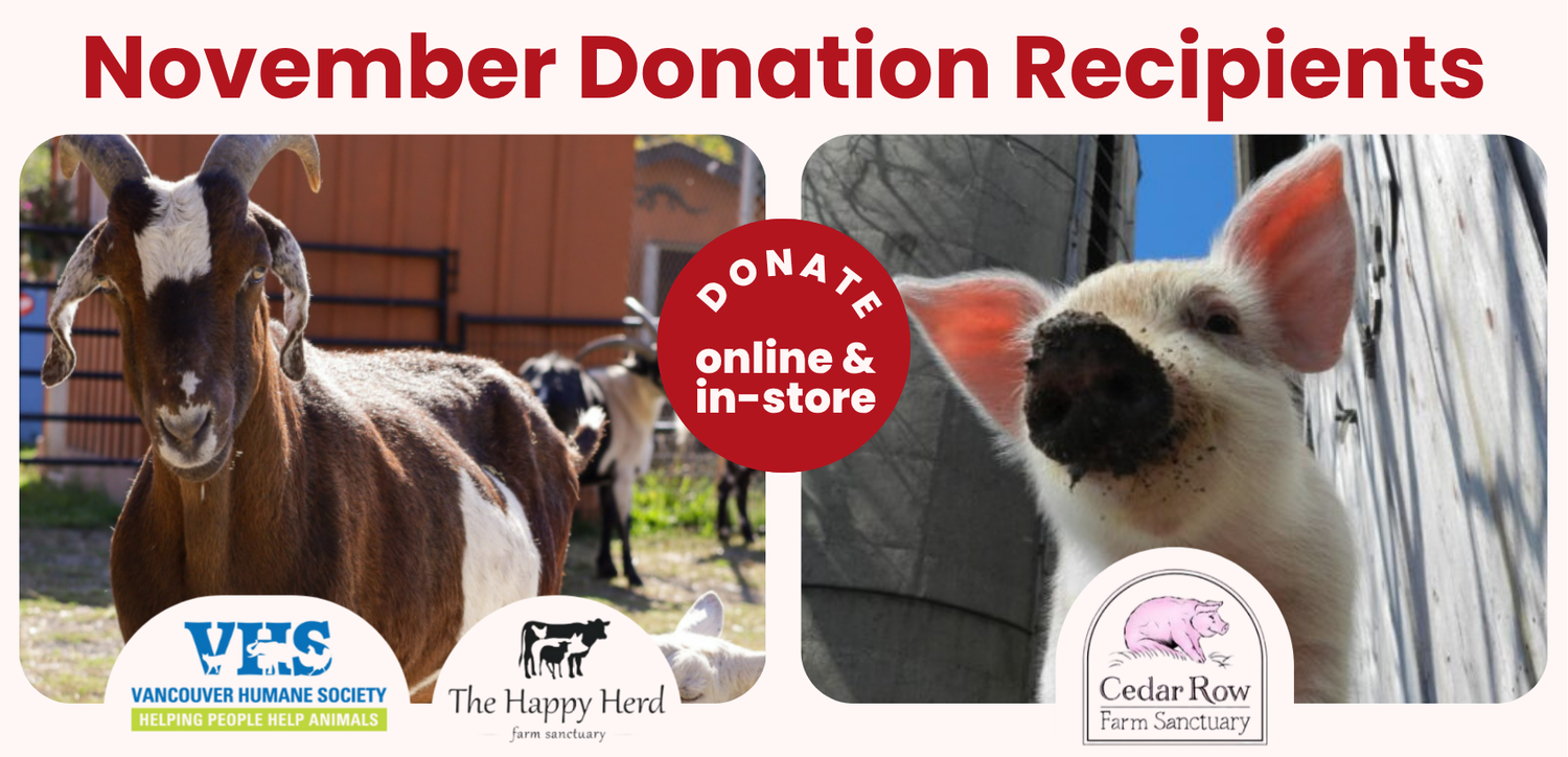November 2025 Donation Recipients - VHS + The Happy Herd & Cedar Row Farm Sanctuary