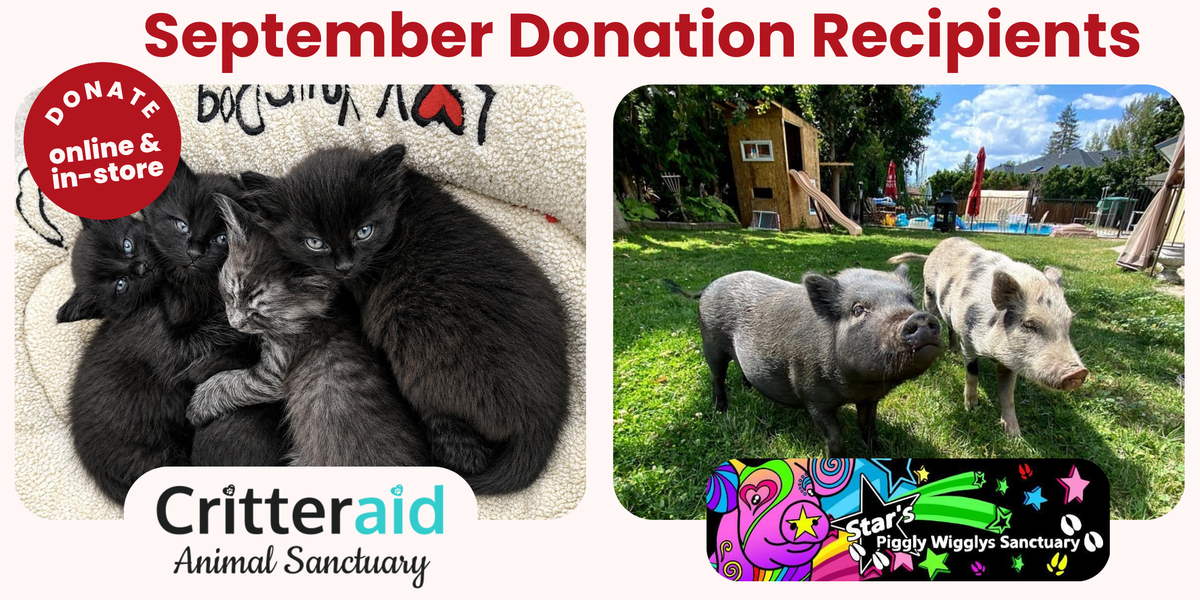 September 2026 Donation Recipients - Stars Piggly Wiggly & Critteraid