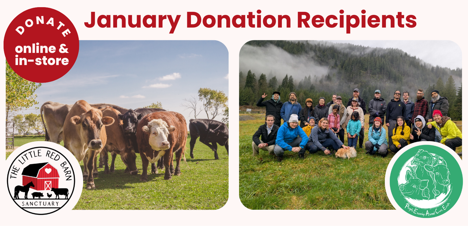 January 2026 Donation Recipients - The Little Red Barn Sanctuary & P.E.A.C.E