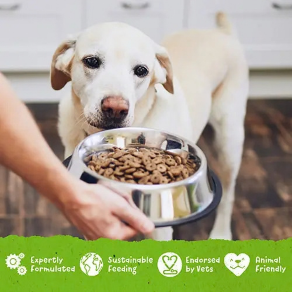 Benevo Dog Kibble - 1.8kg