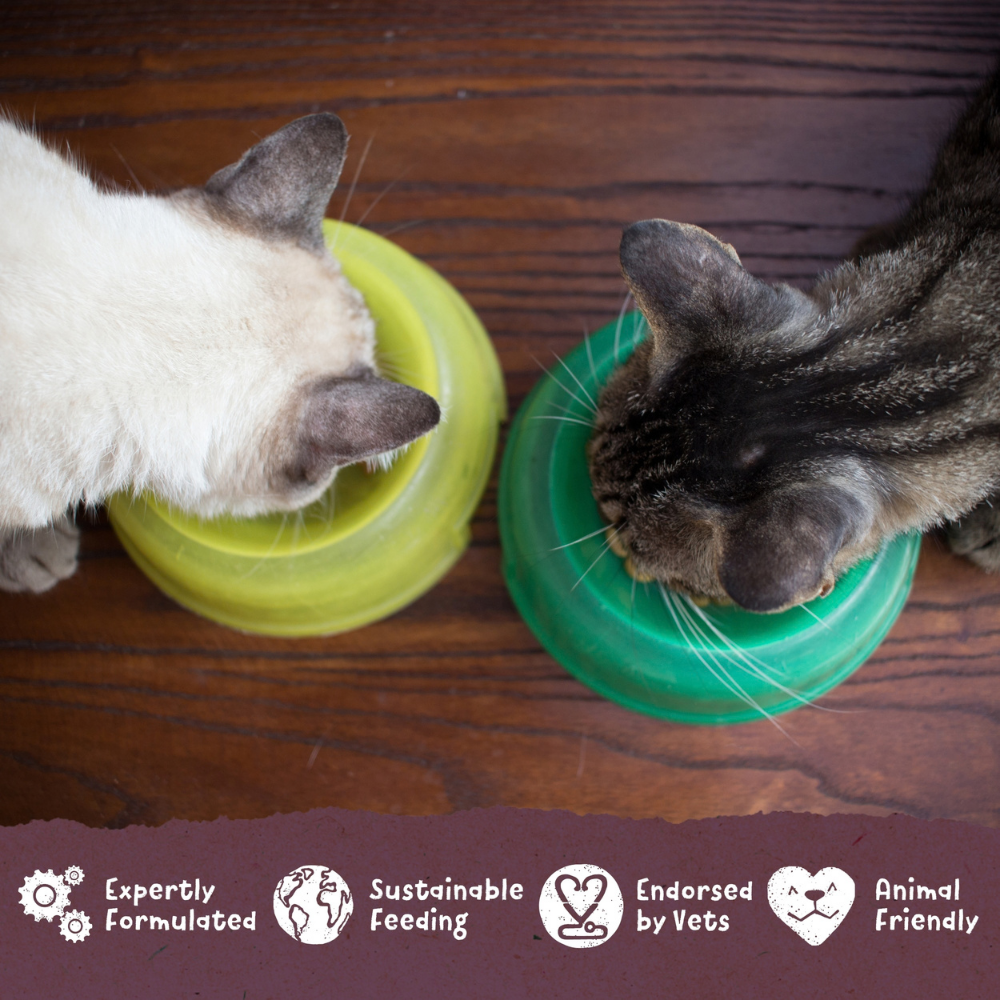 Benevo Cat Kibble - 1.8kg
