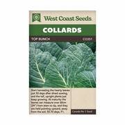 West Coast Seeds Top Bunch Collards Seeds - 60 Seeds