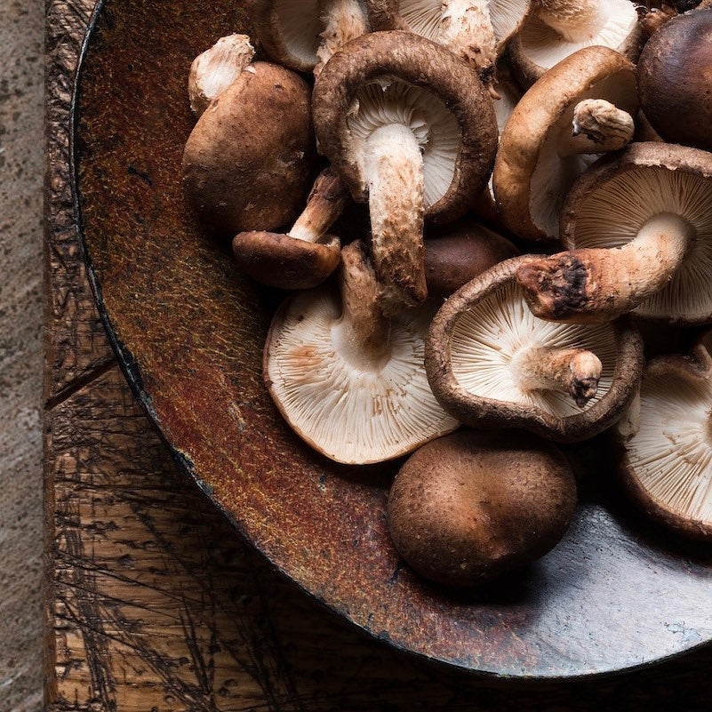 Fable Meaty Pulled Mushroom - 1kg