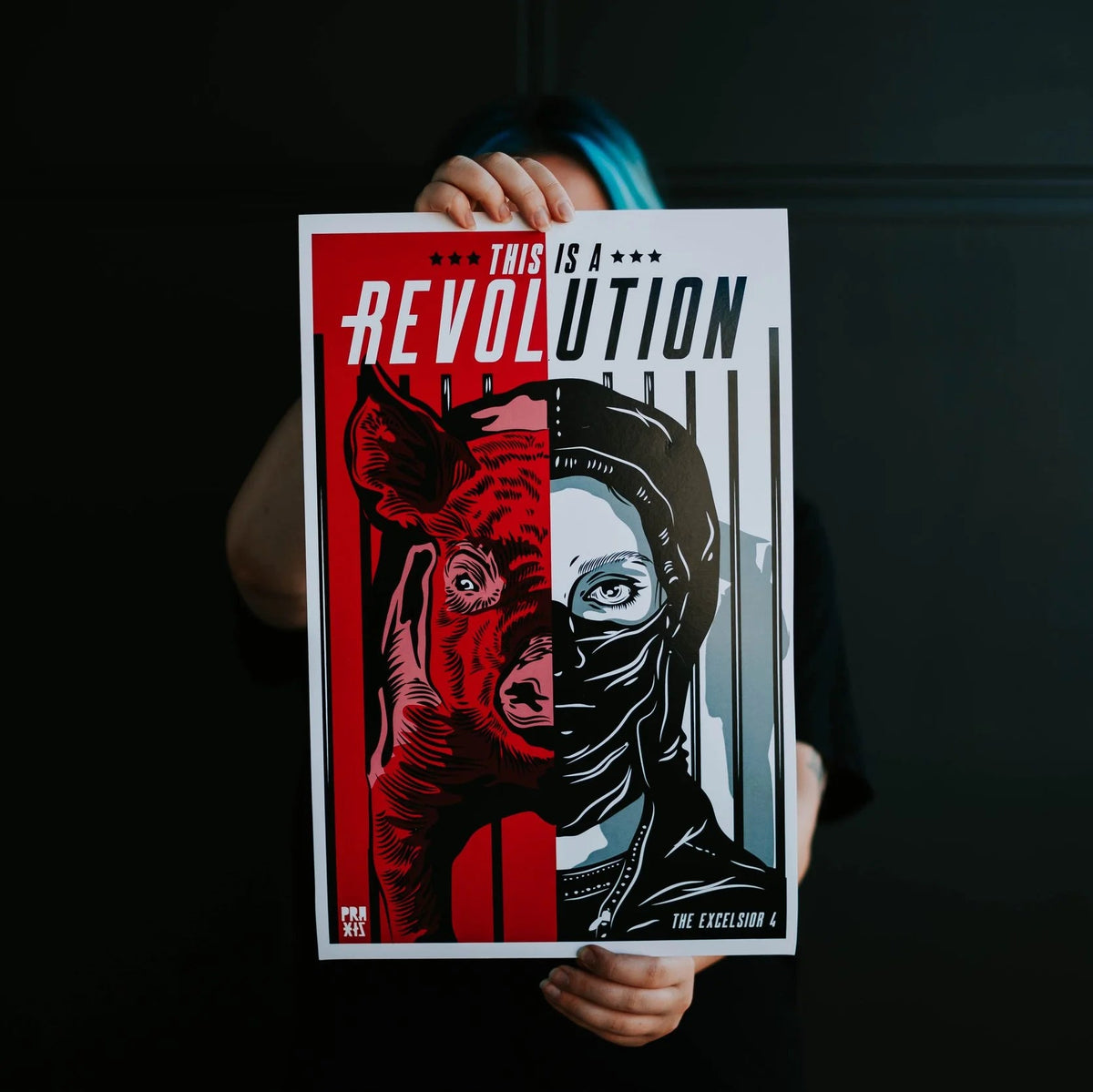 Affiche Excelsior 4 « Ceci est une révolution »