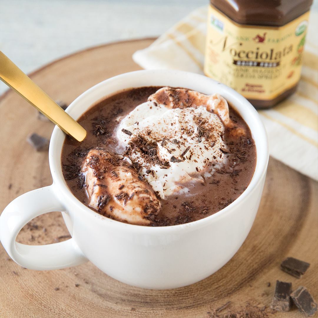 Nocciolata Chocolate Hazelnut Spread - 250g