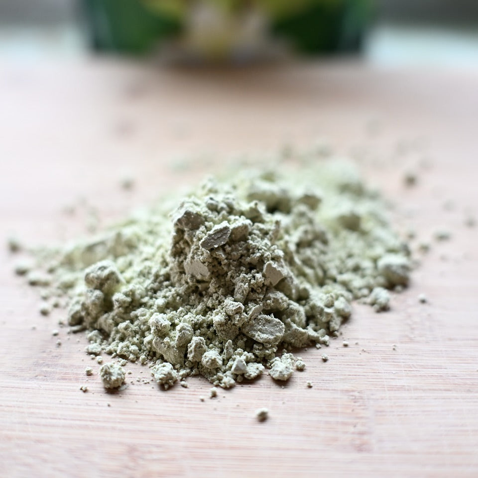 Ergogenics Vanilla Bean Plant Protein - 120g