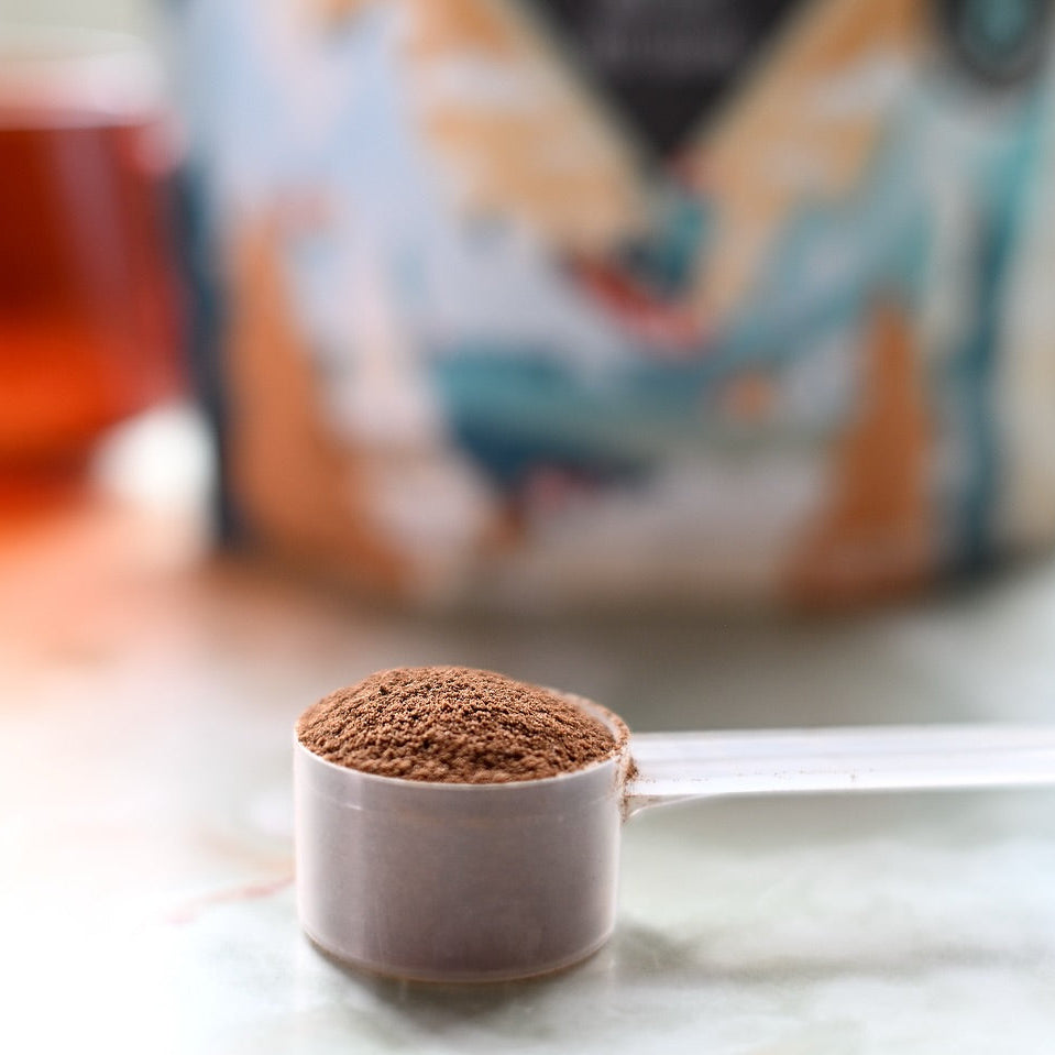Ergogenics 8 Mushroom Blend Organic Coffee - 120g