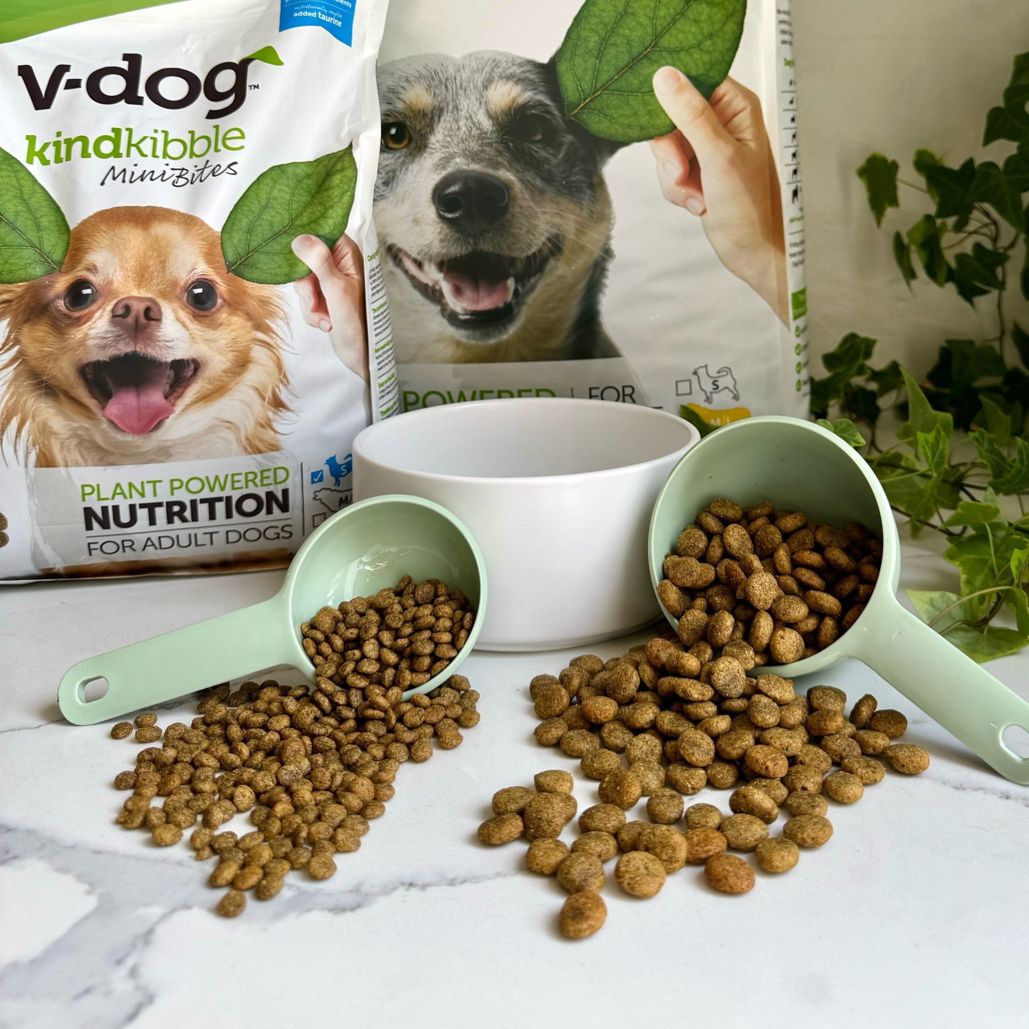 Vegan Supply