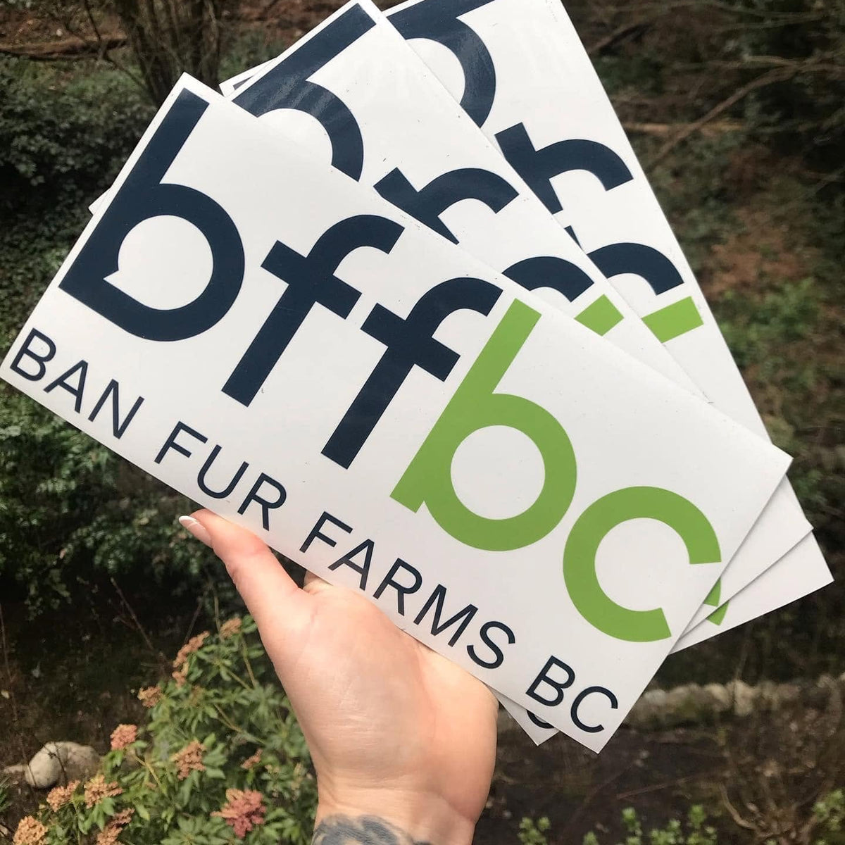 Aimant de voiture avec logo Ban Fur Farms BC BFFBC - 5 po x 10 po