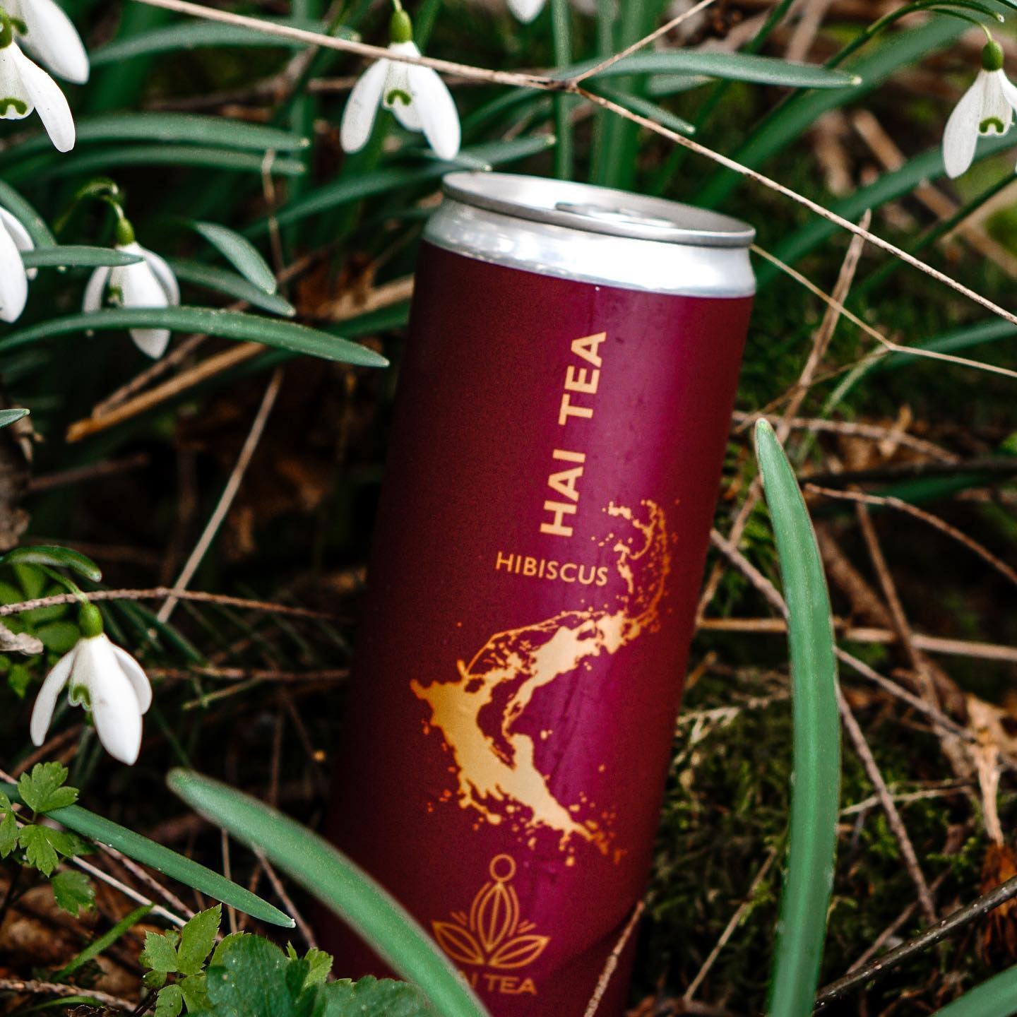 Hai Tea Hibiscus - 355ml