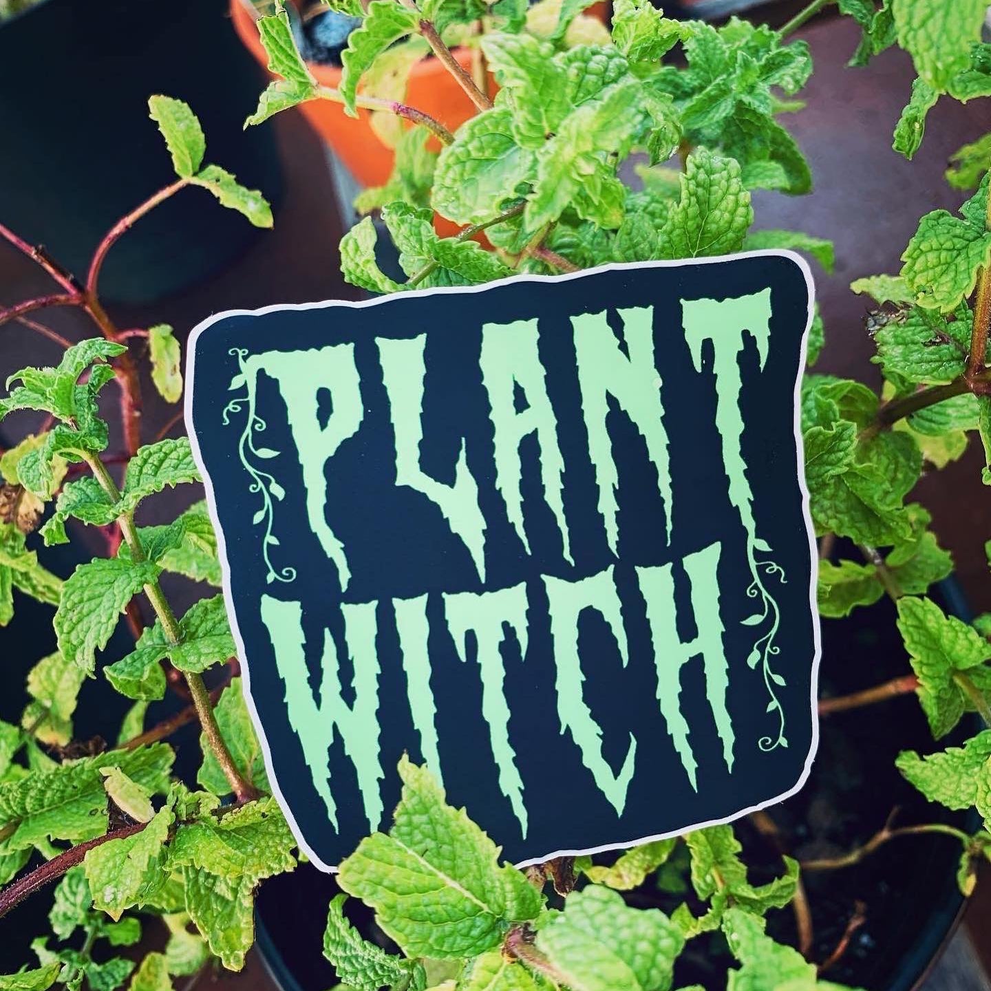 Vegan Power Co 'Plant Witch' Sticker