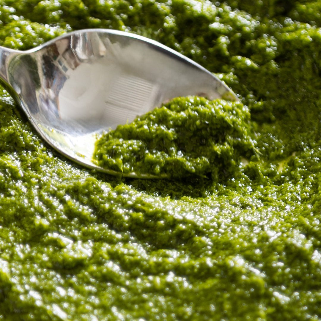 Le Grand Garden Pesto - 170g