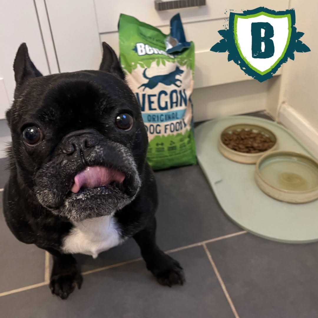 Benevo Dog Kibble - 10kg