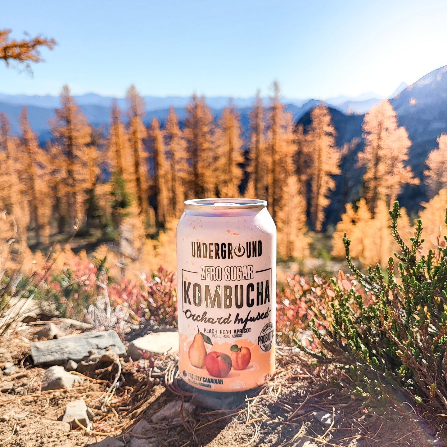 UnderGround Orchard Infusé Zéro Sucre Kombucha - 355ml