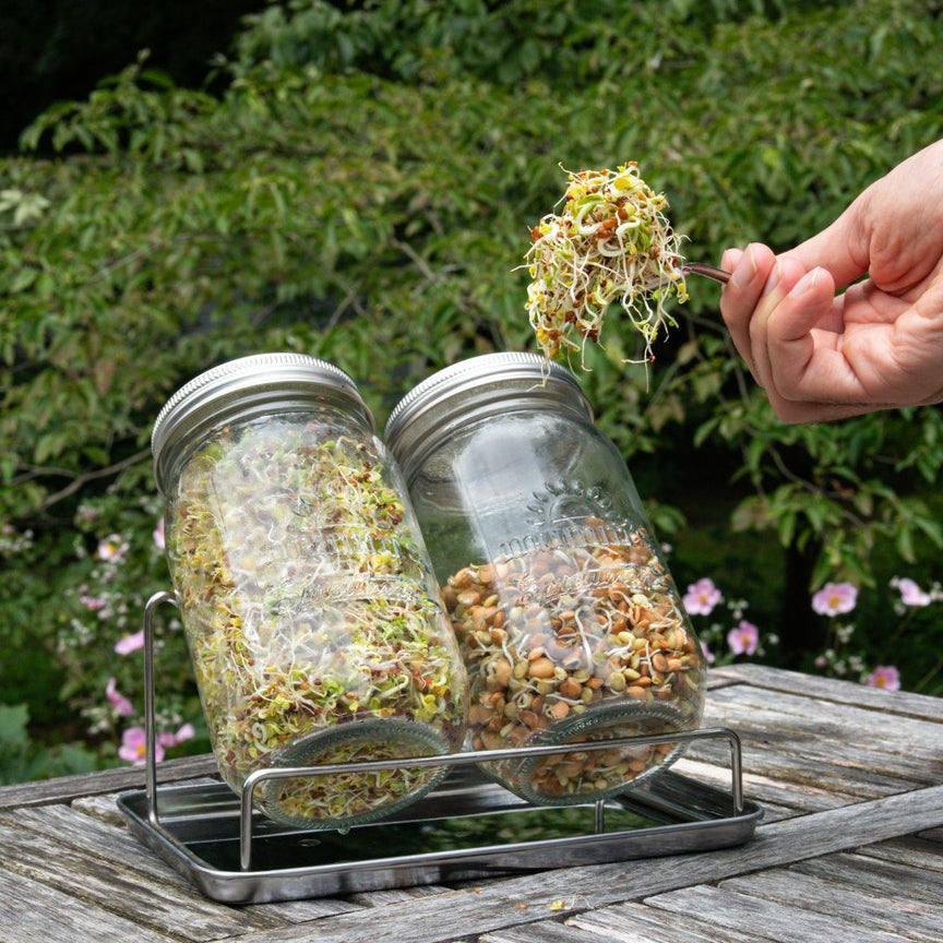 Mumm's Sandwich Booster Bio - 125g