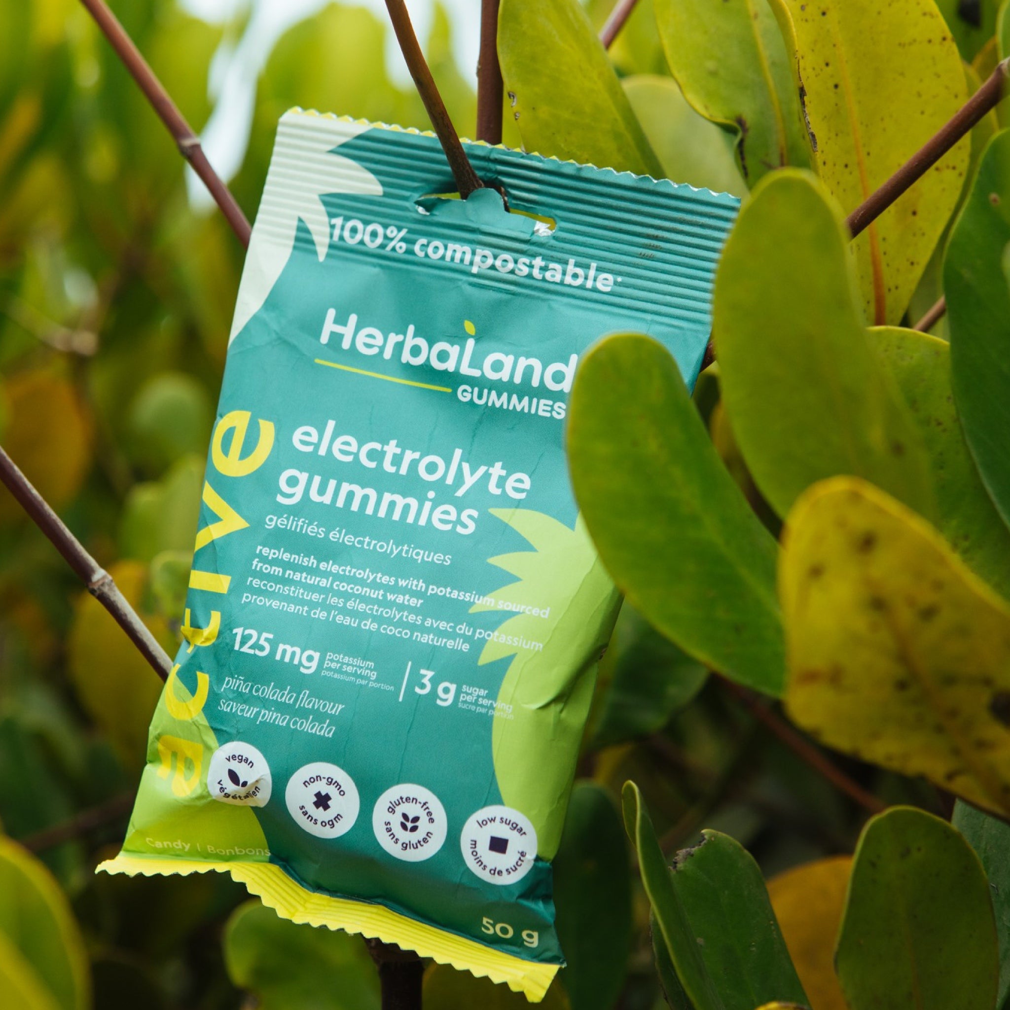 Herbaland Pina Colada Electrolyte Gummies For Adults - 50g – Vegan