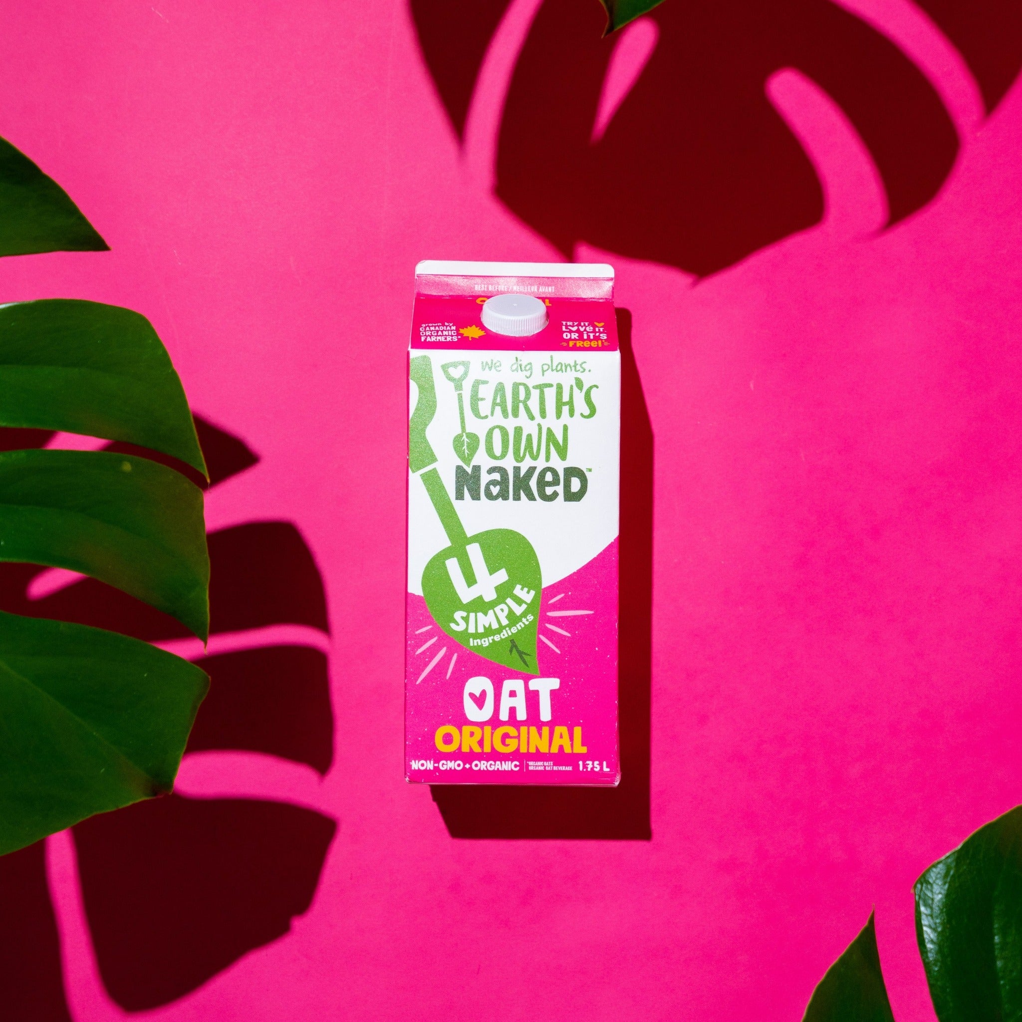 CLEARANCE - Earth's Own Naked Oat Milk - 1.75L