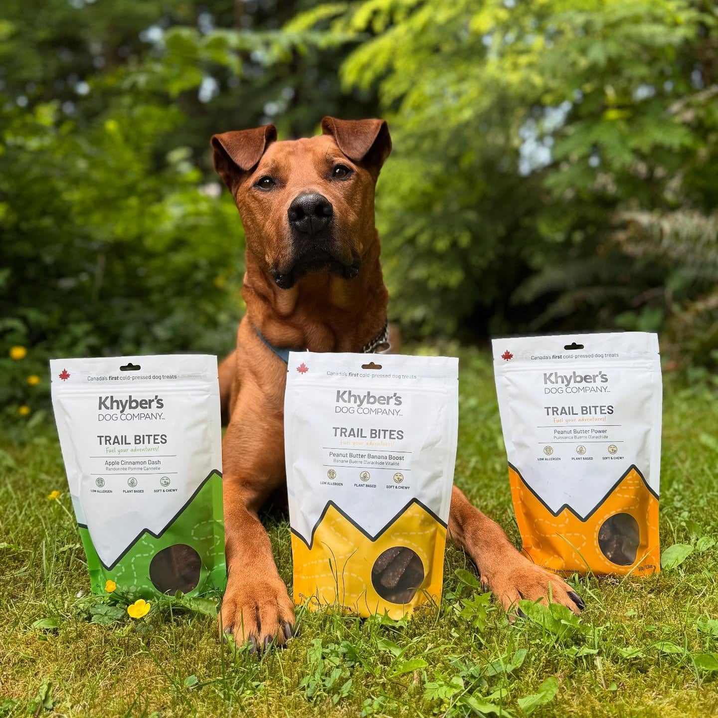 Khyber's Pet Co. Peanut Butter Power Trail Bites - 350g