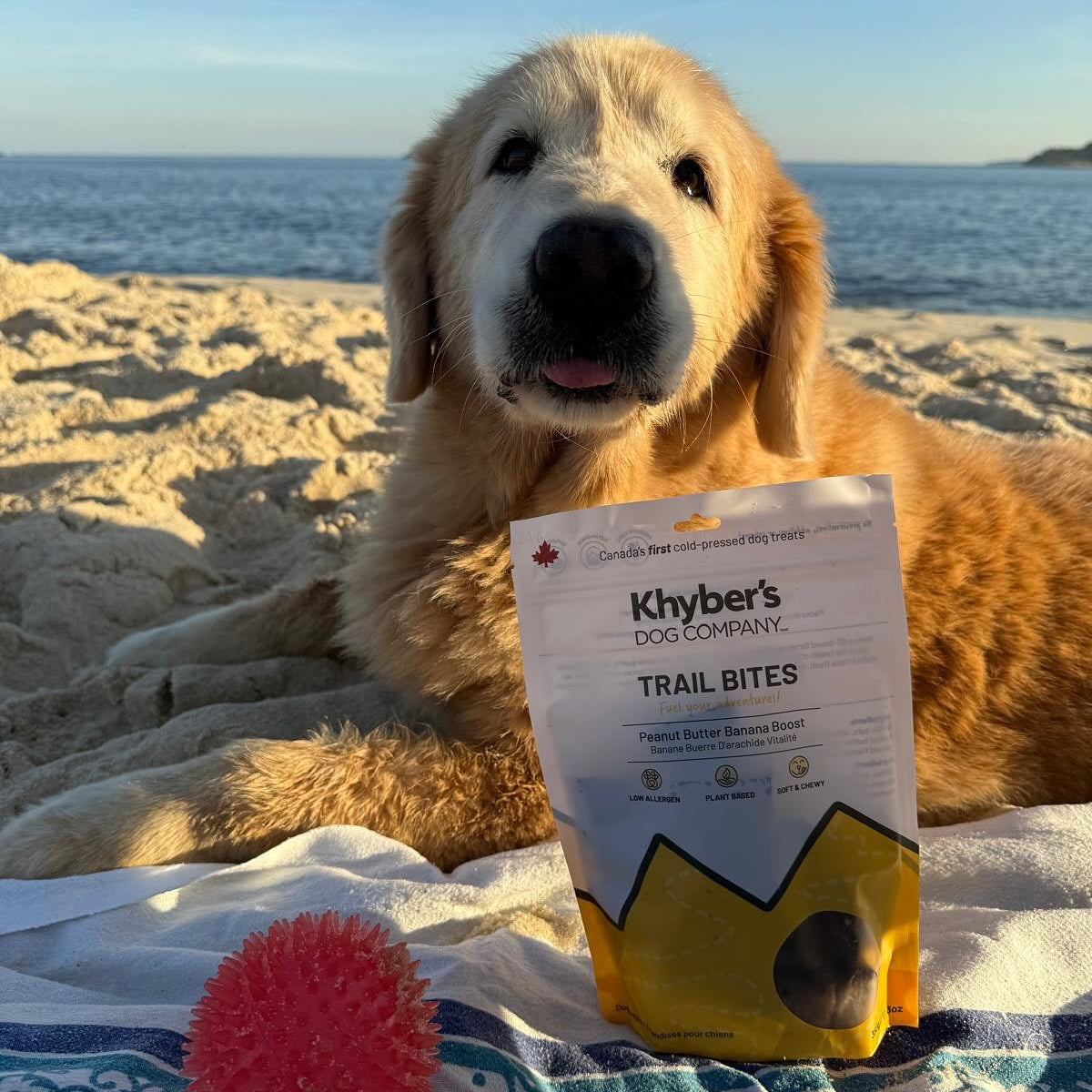 Khyber's Pet Co. Peanut Butter Banana Boost Trail Bites - 350g