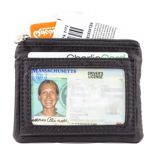 Big Skinny Money Penny Card Holder