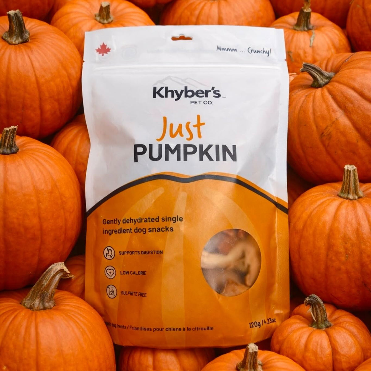 Khyber's Pet Co. Just Pumpkin Trail Bites - 120g