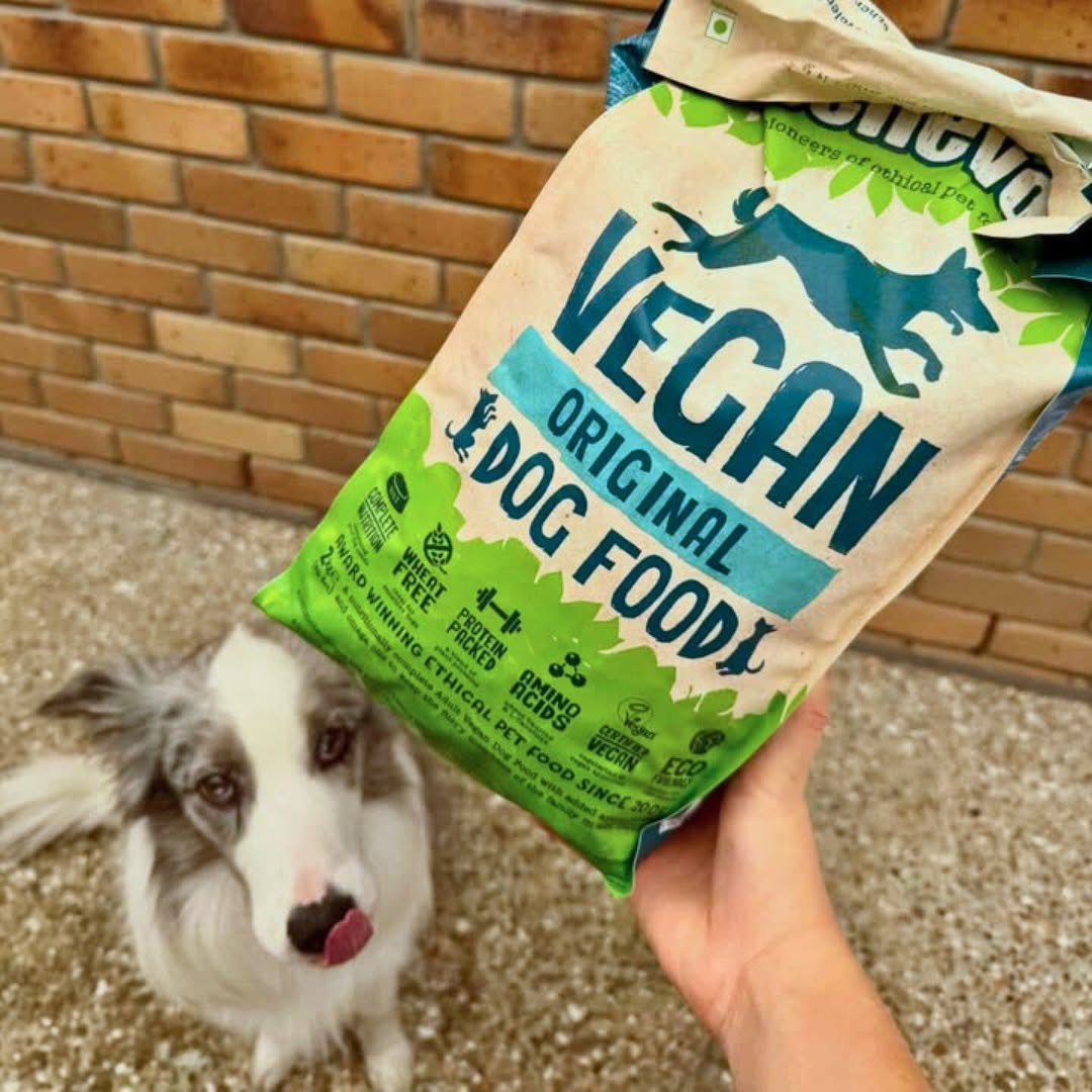 Benevo Dog Kibble - 10kg