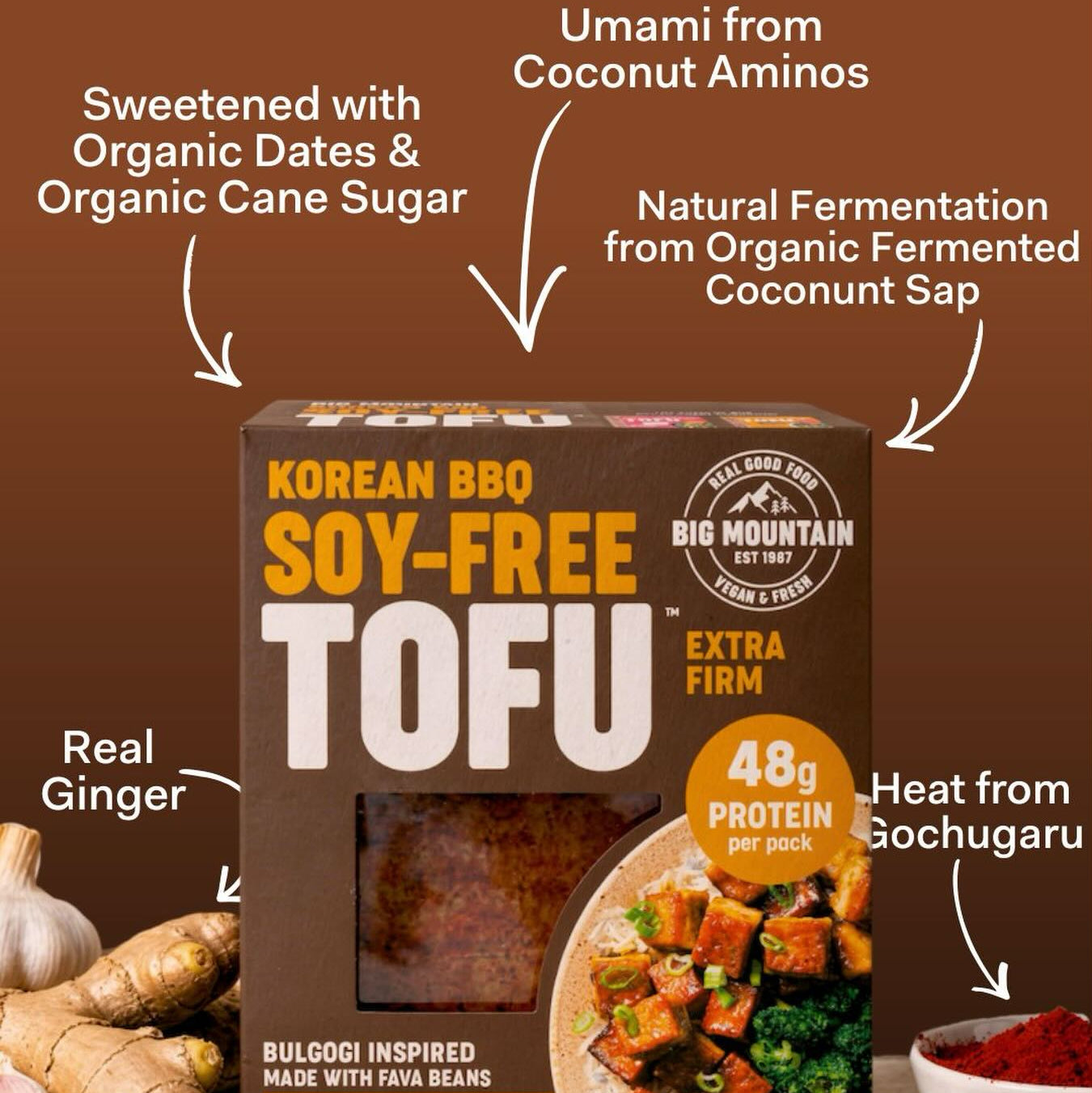 Big Mountain Foods Soy-Free Korean BBQ Fava Bean Extra Firm Tofu - 280g