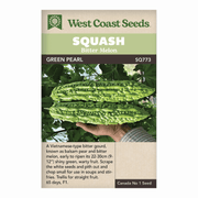 West Coast Seeds Green Pearl Squash Seeds - 5 Seeds