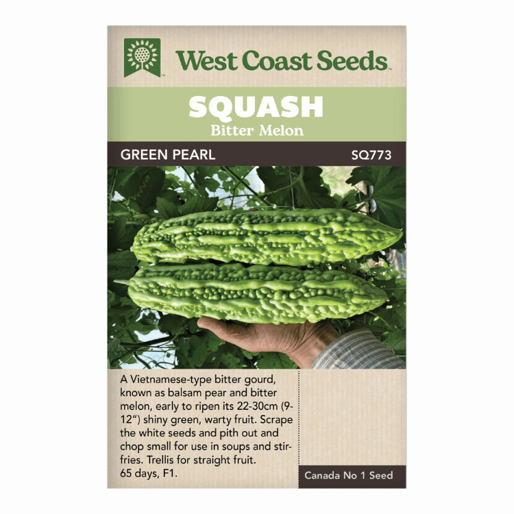 West Coast Seeds Green Pearl Squash Seeds - 5 Seeds