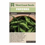 West Coast Seeds Shishimai Hot Pepper Seeds - 10 Seeds