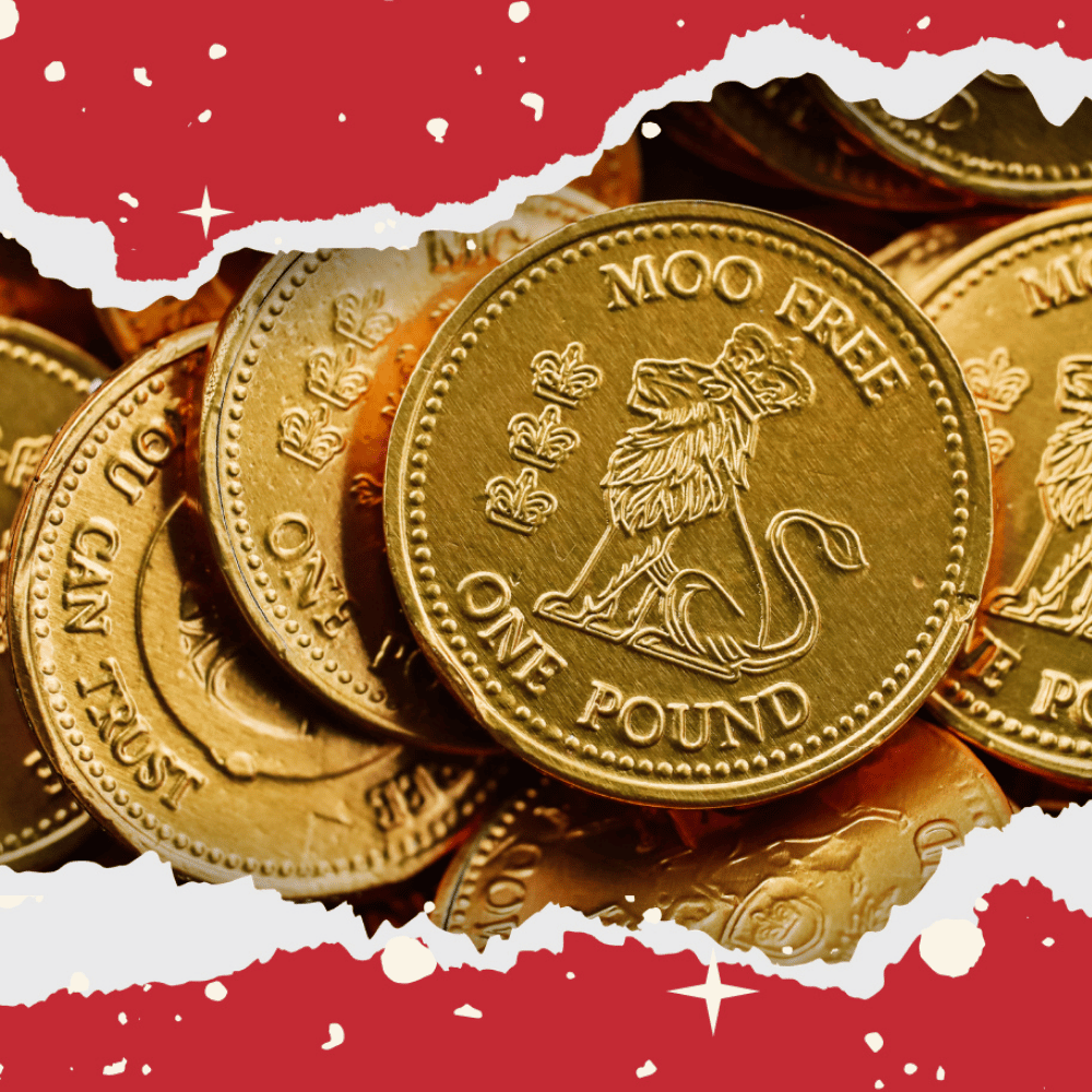 Moo Free Choccy Coins - 49g
