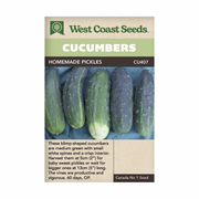 West Coast Seeds Homemade Pickles Cucumber Seeds - 20 Seeds