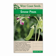 West Coast Seeds Graines de pois sucrés gris nains - 25g