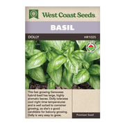 West Coast Seeds Dolly Basil Seeds - 290 Seeds