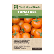 West Coast Seeds Sungold Cherry Tomato Seeds - 15 Seeds