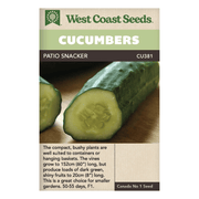 Graines de concombre Patio Snacker de West Coast Seeds - 0,5 g