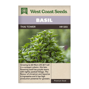 West Coast Seeds Graines de basilic thaïlandais Siam Queen - 0,5 g
