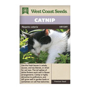 West Coast Seeds Nepeta Cataria Catnip Seeds - 460 Seeds