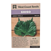 West Coast Seeds Green Perilla Shiso - 343 graines